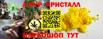 СК Донецк