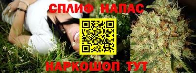 СК Донецк