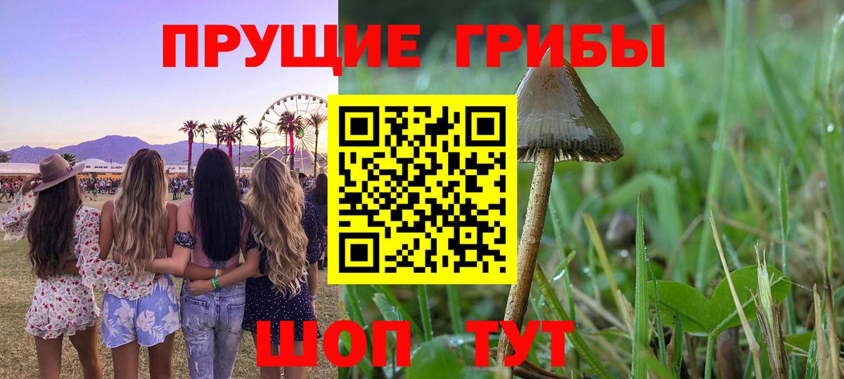 Псилоцибиновые грибы ЛСД  Вход с VPN  Карасук 
