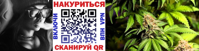Каннабис ГИДРОПОН  закладка  Карасук 